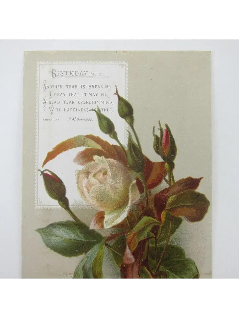 Victorian Greeting Card Birthday White & Pink Roses Flowers Antique
